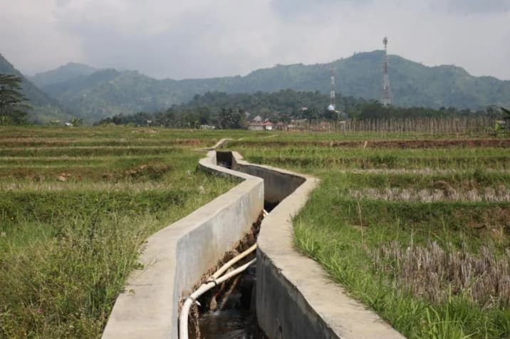 Menteri PU Sebut Inpres Irigasi Menjamin Pasokan Air Pertanian Lebih Merata