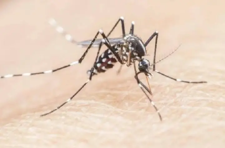 Dokter Ungkap Anak-anak Lebih Rentan Alami Malaria Berat, Orang Tua Diminta Waspada