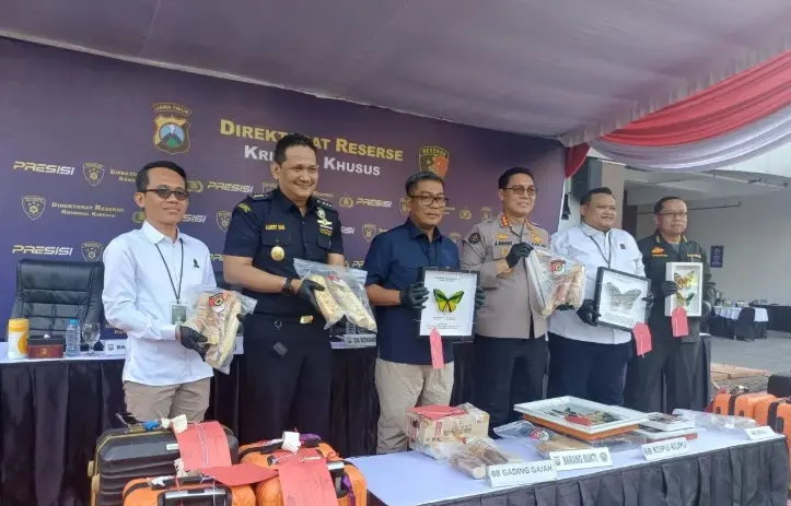 Polda Jatim Gagalkan Penyelundupan Gading Gajah, Benih Lobster, dan Kupu-Kupu ke Luar Negeri