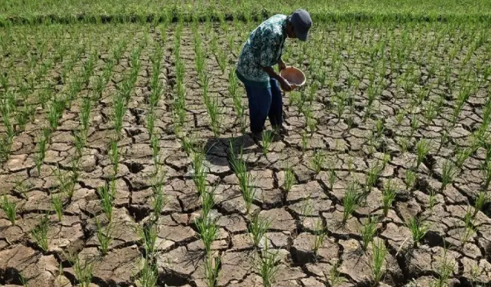 Ciamis Tetapkan Siaga Darurat Kekeringan Tiga Bulan, BNPB Perkuat Penanganan Krisis Air Bersih