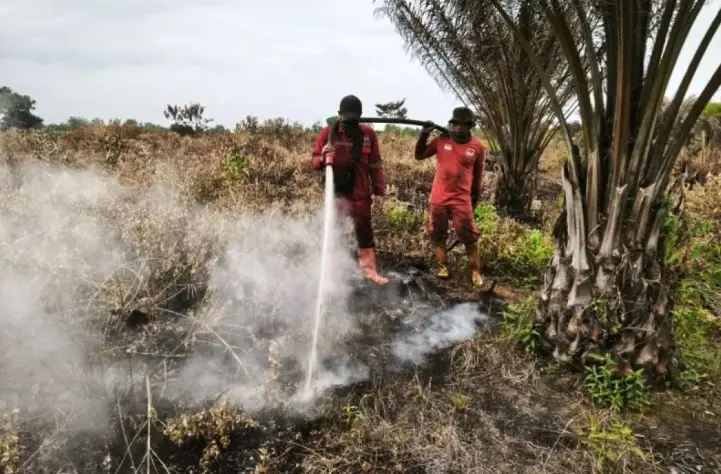 Manggala Agni Tuntaskan Pemadaman Karhutla Seluas Satu Hektare di Pekanbaru dalam Dua Hari