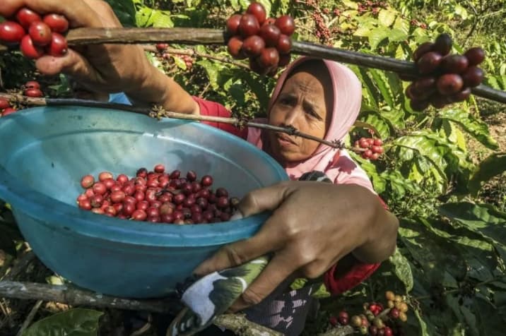 Pemda DIY Menilai Gunungkidul Berpotensi Besar Kembangkan Wisata dan Komoditas Unggulan Berkelanjutan