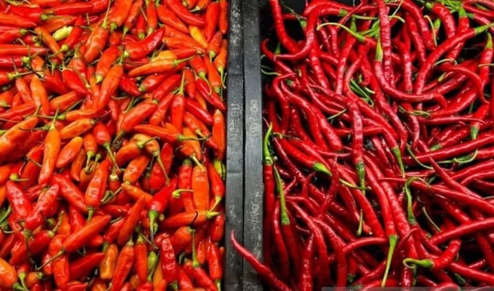 Harga Cabai Rawit Merah Turun Menjadi Rp57.250 per Kilogram, Telur Ayam Ras Rp28.600 per Kilogram