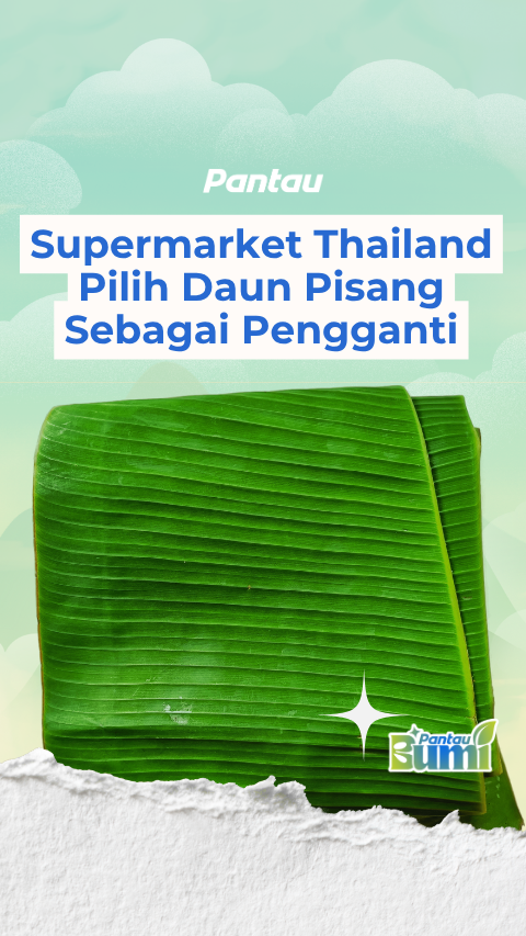 SUPERMARKET THAILAND PILIH DAUN PISANG SEBAGAI PENGGANTI