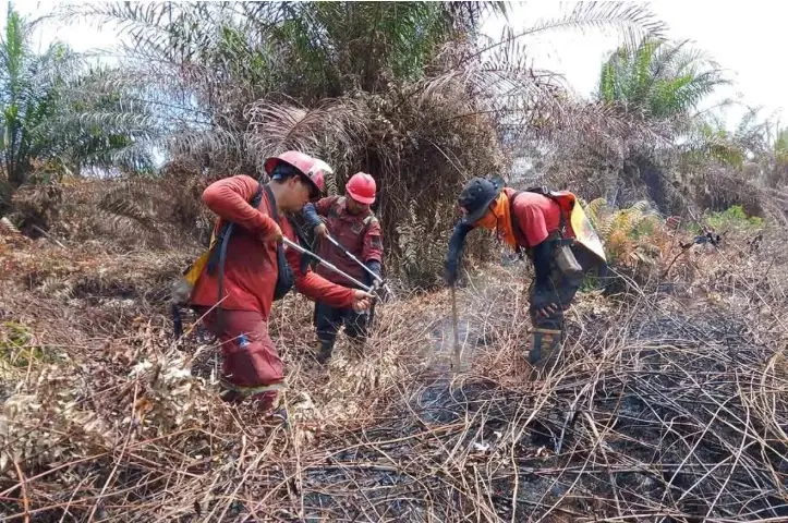 Karhutla di Aceh Selatan Padam Total Setelah Operasi Pemadaman Selama 10 Hari