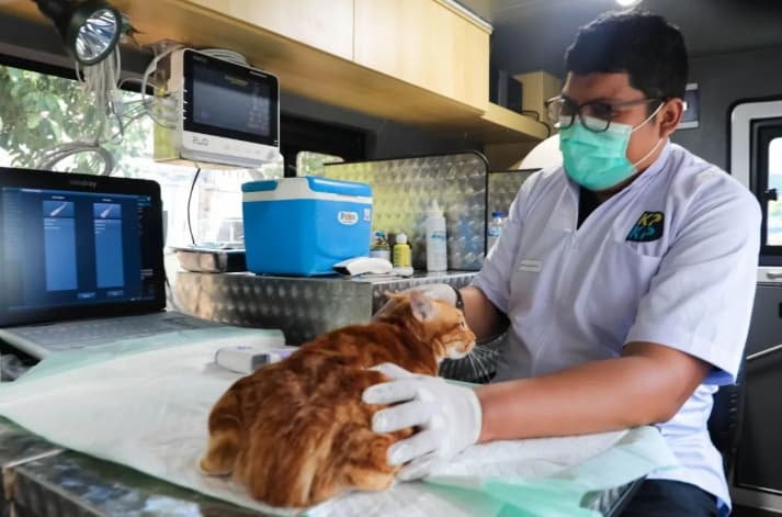 Warga Luar Jakarta Kini Bisa Manfaatkan Layanan Mobil Klinik Hewan Keliling Milik Pemprov DKI