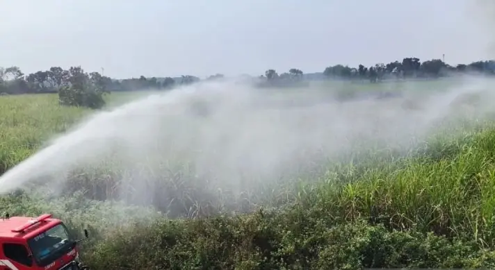 BNPB Pastikan Kebakaran Empat Hektare Kebun Tebu di Jombang Berhasil Dipadamkan