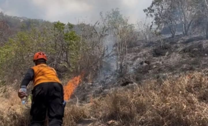 BNPB Pastikan Kebakaran 48 Hektare Lahan Perbukitan di Buleleng Berhasil Dipadamkan