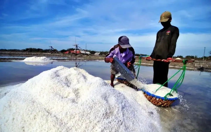 Anggota DPR Mendesak Optimalisasi Garam Nasional untuk Mewujudkan Swasembada pada 2027