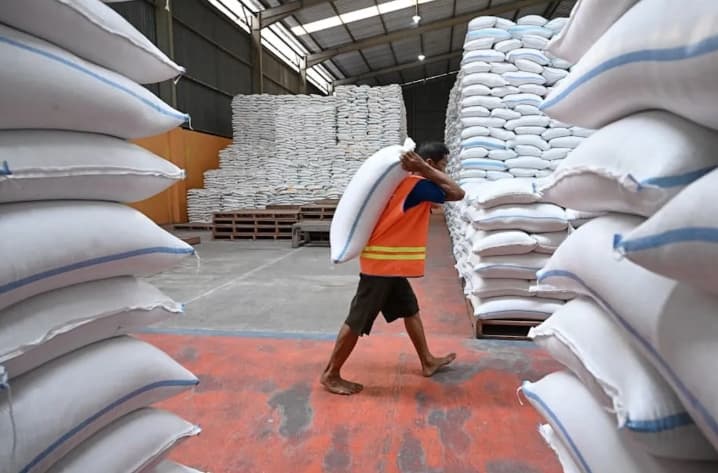 Kepala Bapanas Pastikan El Nino Tidak Ganggu Ketahanan Pangan Indonesia