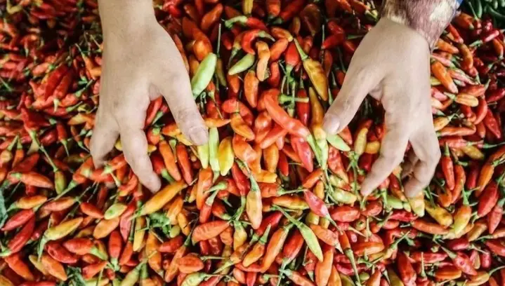 PIHPS Mencatat Harga Cabai Rawit Merah Rp55.150 per Kilogram dan Telur Ayam Rp29.600