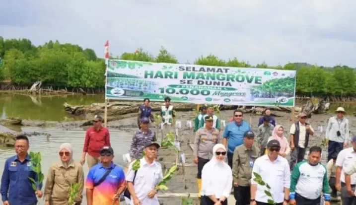 Pemprov Kaltim Gencarkan Rehabilitasi Mangrove di Kukar dan Balikpapan untuk Pulihkan Ekosistem Pesisir