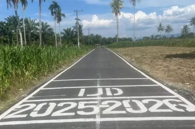 Menteri PU Tegaskan Program Inpres Jalan Daerah Perkuat Rantai Pasok Pangan hingga Sentra Produksi