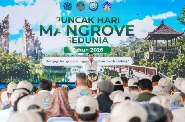Wamenhut Sebut Perlindungan Mangrove Dorong Ekonomi Masyarakat dan Ciptakan Puluhan Ribu Lapangan Kerja