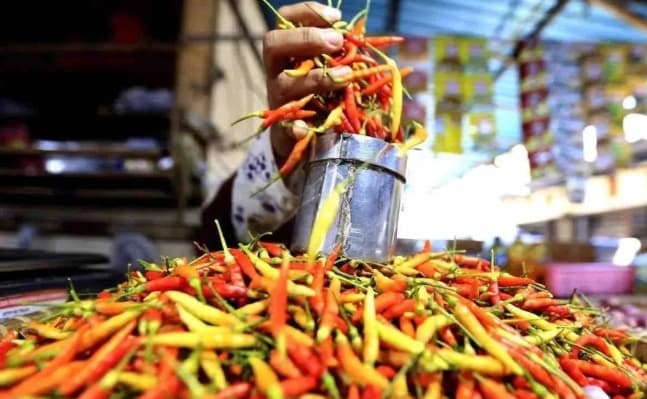 PIHPS Catat Harga Cabai Rawit Rp47.500 per Kg dan Telur Ayam Ras Rp25.000 per Kg