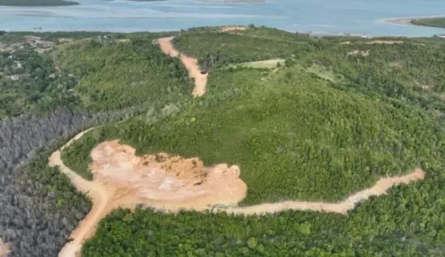 Kemenhut Tetapkan PT GTP sebagai Tersangka Dugaan Perambahan Hutan Lindung Tanjung Piayu di Batam