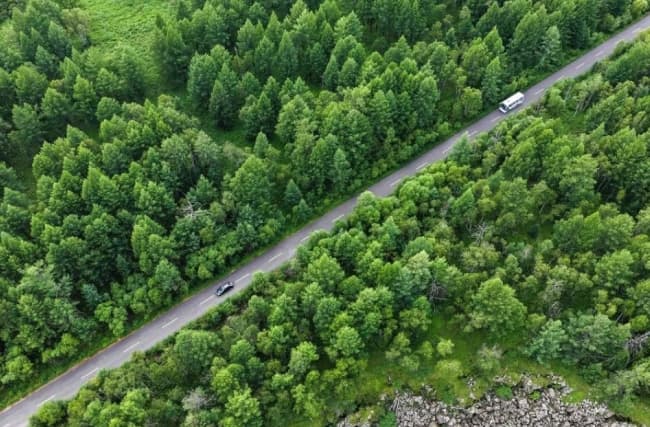 Taman Hutan Nasional Arxan Tampilkan Panorama Musim Panas di Mongolia Dalam, China