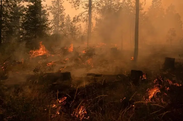 Lebih dari 65.000 Warga Dievakuasi Saat Kebakaran Hutan Meluas di Negara Bagian Washington