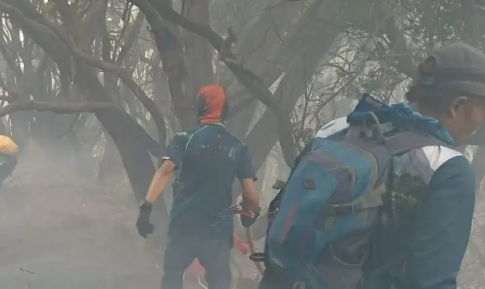 Kebakaran Gunung Gede Meluas Lebih dari Enam Hektare, 150 Petugas Berjibaku Padamkan Api