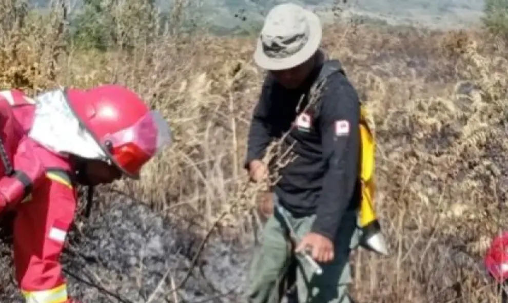 Kemenhut Berhasil Kendalikan Karhutla di Sembalun Gunung Rinjani, Sekitar 30 Hektare Terdampak