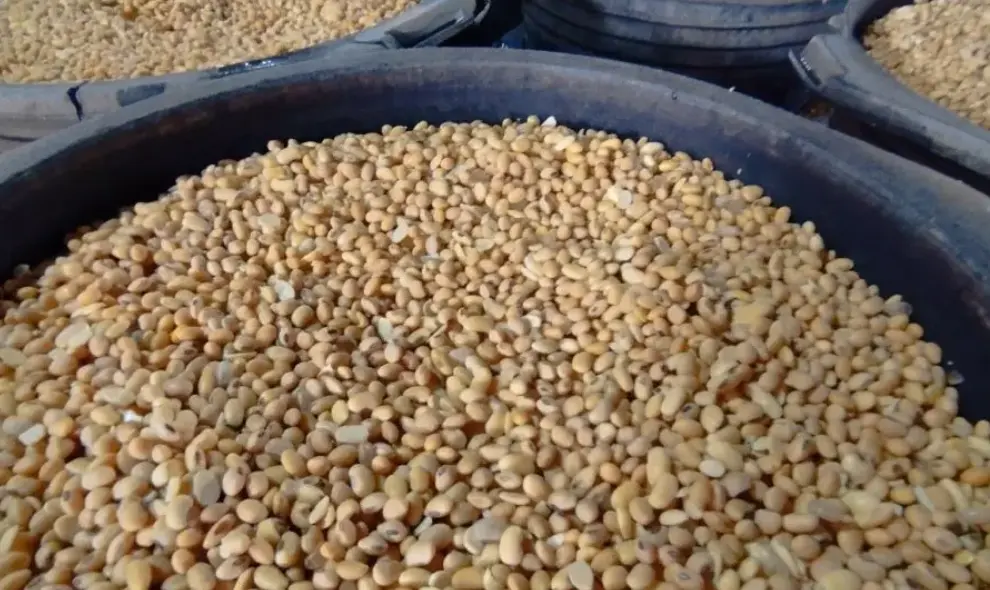 Harga Kedelai Impor di Kudus Turun Jadi Rp10.400 per Kilogram, Stok Masih Melimpah