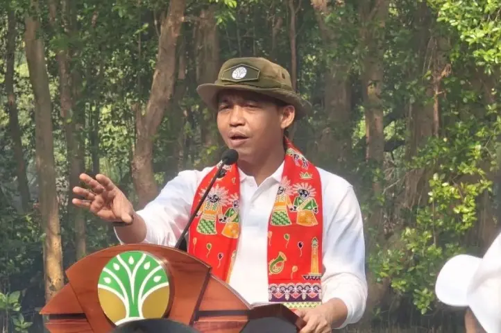 Kemenhut Menjadikan Kematian Gajah Sumatera di Kebun Sawit sebagai Momentum Membenahi Konservasi