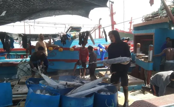 KKP Mendalami Dugaan Pelanggaran Kapal Tuna di Benoa dan Siapkan Sanksi bagi Pelanggar