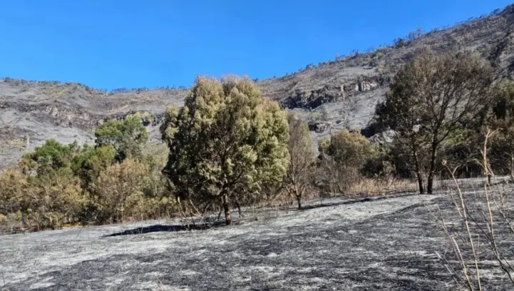 Penutupan Total Gunung Bromo Picu 2.056 Wisatawan Ajukan Pengembalian Dana Tiket