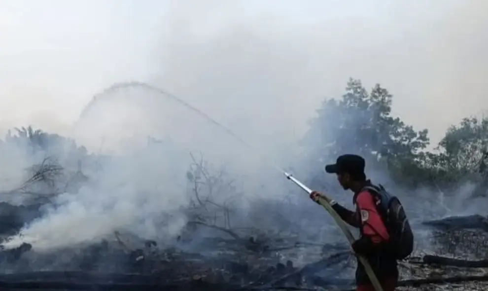 Kemenhut Pantau 73 Titik Panas di Kalsel, Deteksi Dini Karhutla Diperkuat Saat Musim Kemarau