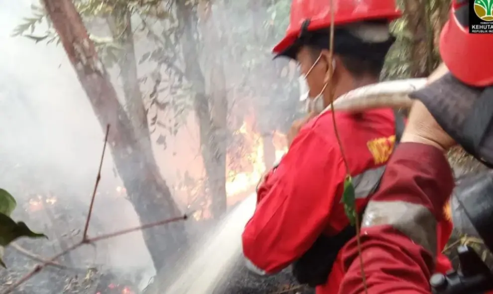 Manggala Agni Padamkan Dua Karhutla di Hutan Lindung Bangka saat Kemarau Ekstrem