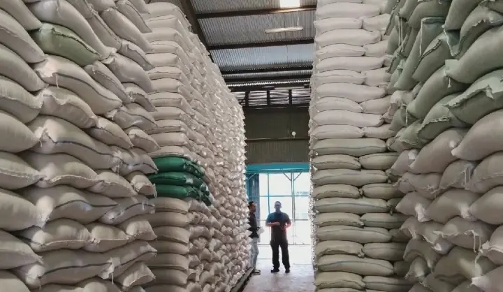 Bulog Sumut Terima Tambahan 46.000 Ton Beras untuk Perkuat Stok Pangan Masyarakat