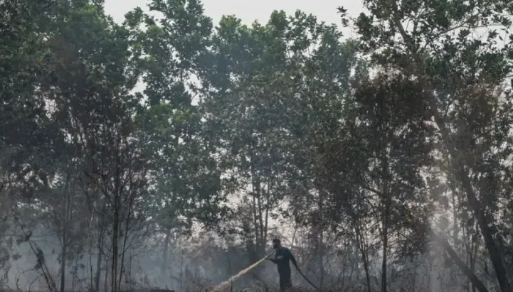 BPBD Palangka Raya Menangani 298 Kebakaran Lahan, 261 Hektare Area Terbakar