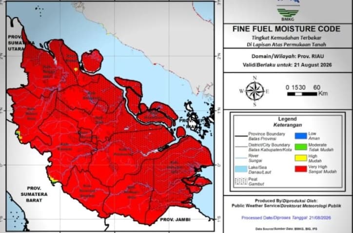 BMKG Mendeteksi 1.104 Titik Panas di Sumatera, Sumsel Catat Sebaran Tertinggi