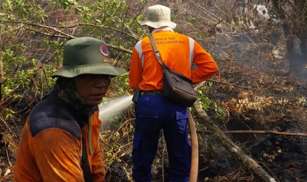 Tim Gabungan Tambah Personel untuk Padamkan Karhutla Ratusan Hektare di Pelalawan Riau