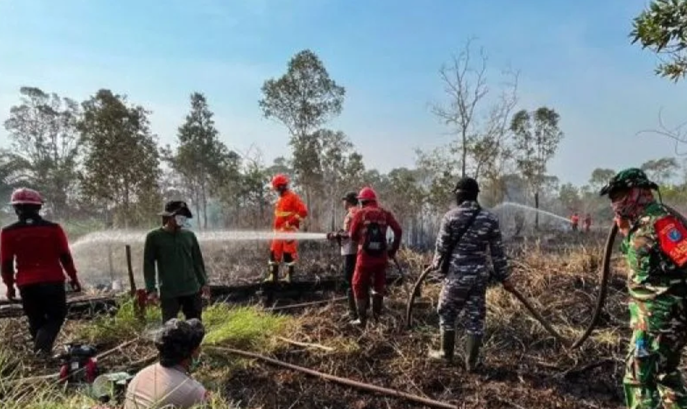 Kebakaran Way Kambas Berhasil Dipadamkan, Kemenhut Pastikan Seluruh Gajah Sumatra Aman