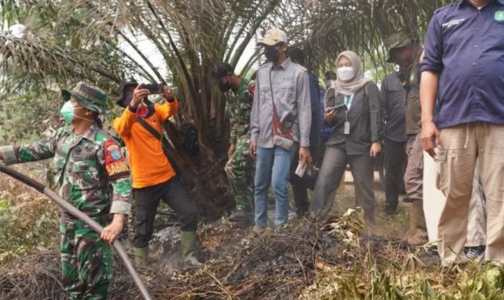 Wamen LH Dorong Kolaborasi Semua Pihak untuk Tangani Karhutla di Kalimantan Barat