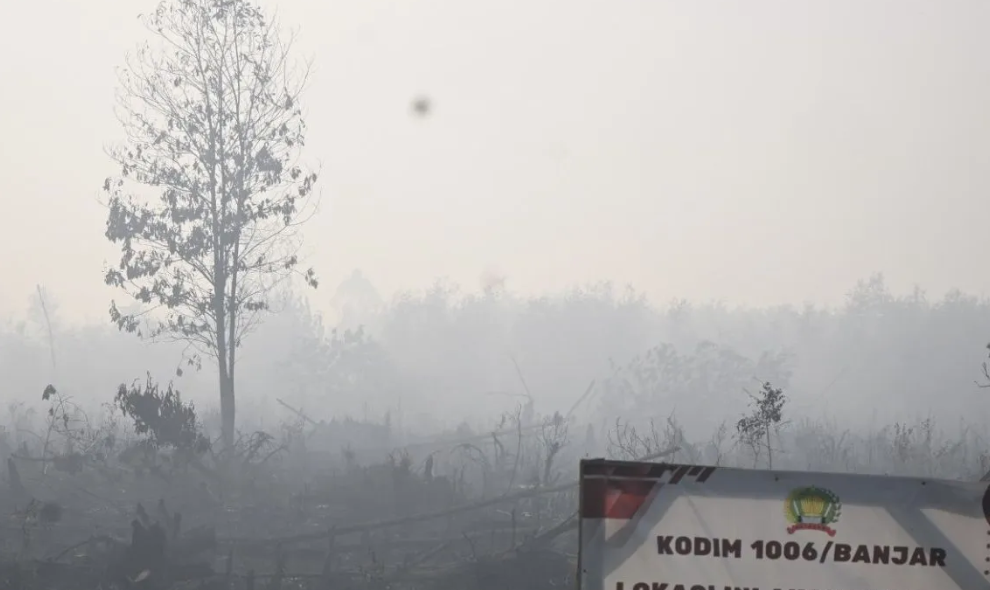 BMKG Mendeteksi 696 Titik Panas Karhutla di Kalimantan Selatan, Risiko Kebakaran Didominasi Zona Merah