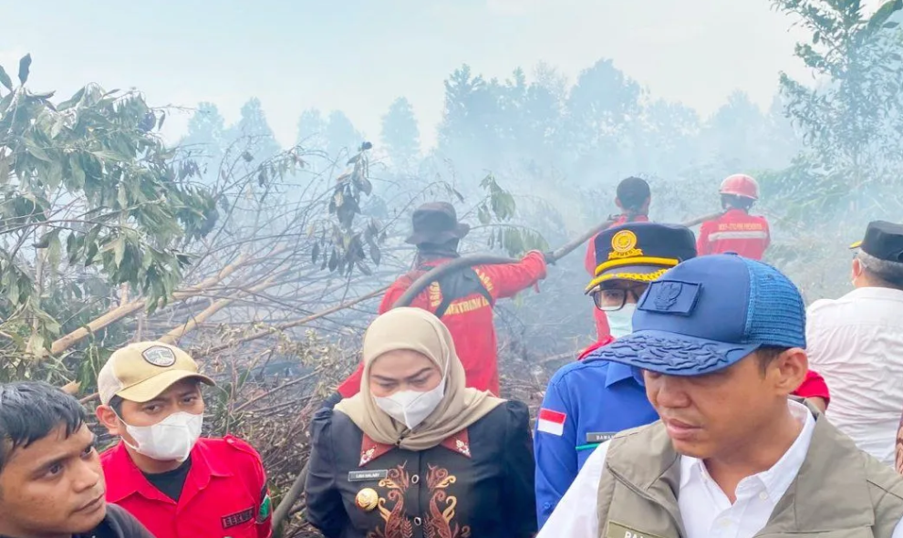 Kebakaran Taman Nasional Way Kambas Berhasil Dipadamkan, 600 Hektare Lahan Sempat Terbakar