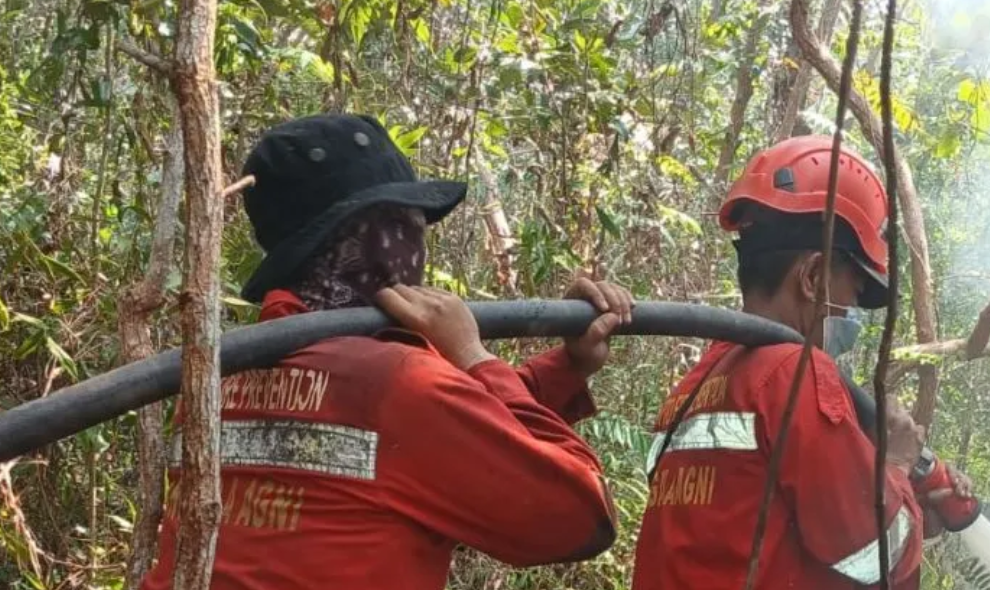 Balai Dalkarhut Sumatera Mengerahkan Manggala Agni untuk Tangani Karhutla di Sumsel