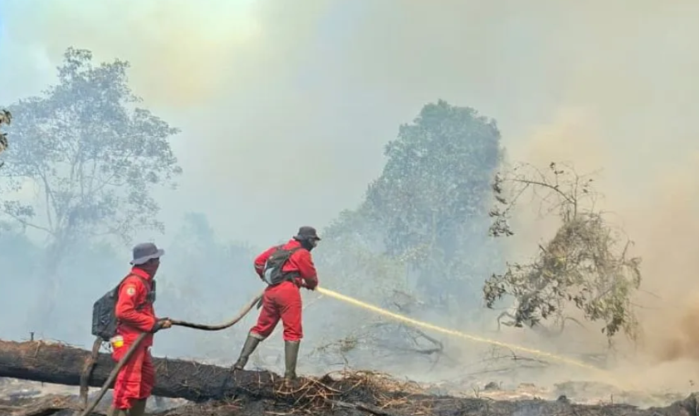 Manggala Agni Berjibaku Memadamkan Karhutla Ratusan Hektare di Riau