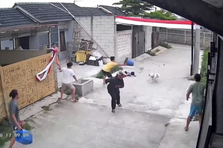 Anjing Pitbull Serang Anak Sembilan Tahun di Bandung, Korban Alami Luka di Kepala dan Telinga