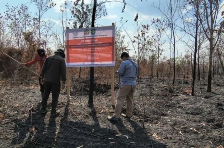 Kemenhut Menjatuhkan Sanksi kepada Enam Perusahaan setelah Karhutla Berulang di Kalimantan