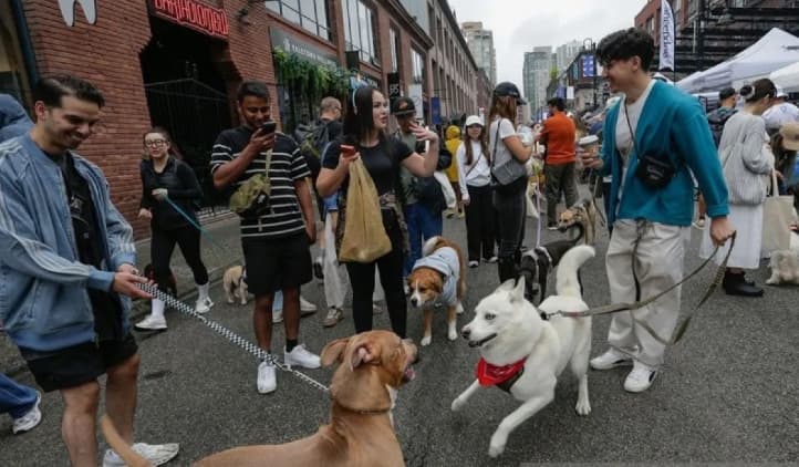 Ribuan Anjing dan Pemiliknya Meriahkan Pet-A-Palooza 2026 di Vancouver