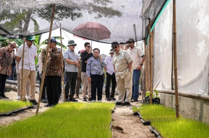 Menteri PPN Dorong Inovasi Pertanian Berbasis Data untuk Memperkuat Ketahanan Pangan Nasional
