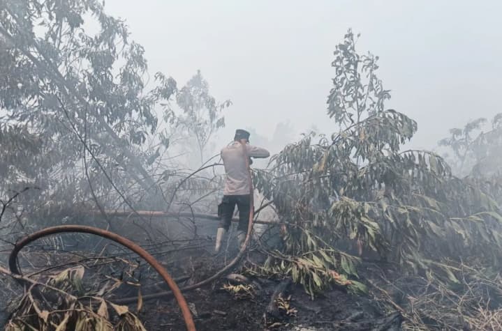 Mensesneg Membantah Klaim Prabowo Menunjuk Haji Isam sebagai Koordinator Penanganan Karhutla