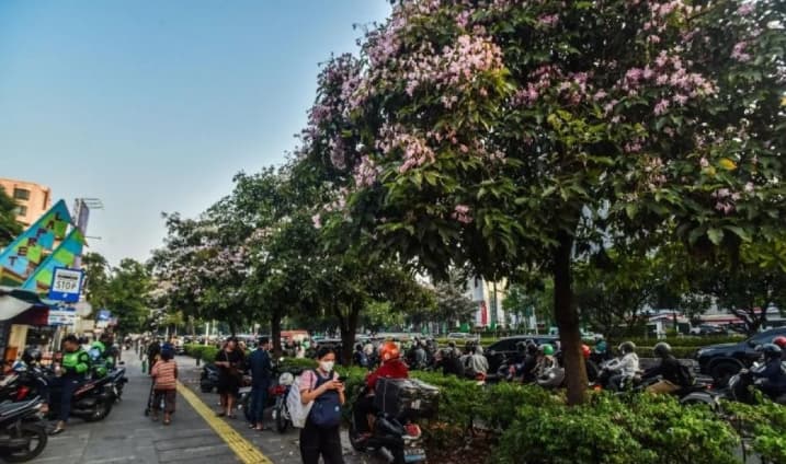 BMKG Memprakirakan Jakarta Cerah Berawan hingga Malam, Kepulauan Seribu Berawan Tebal