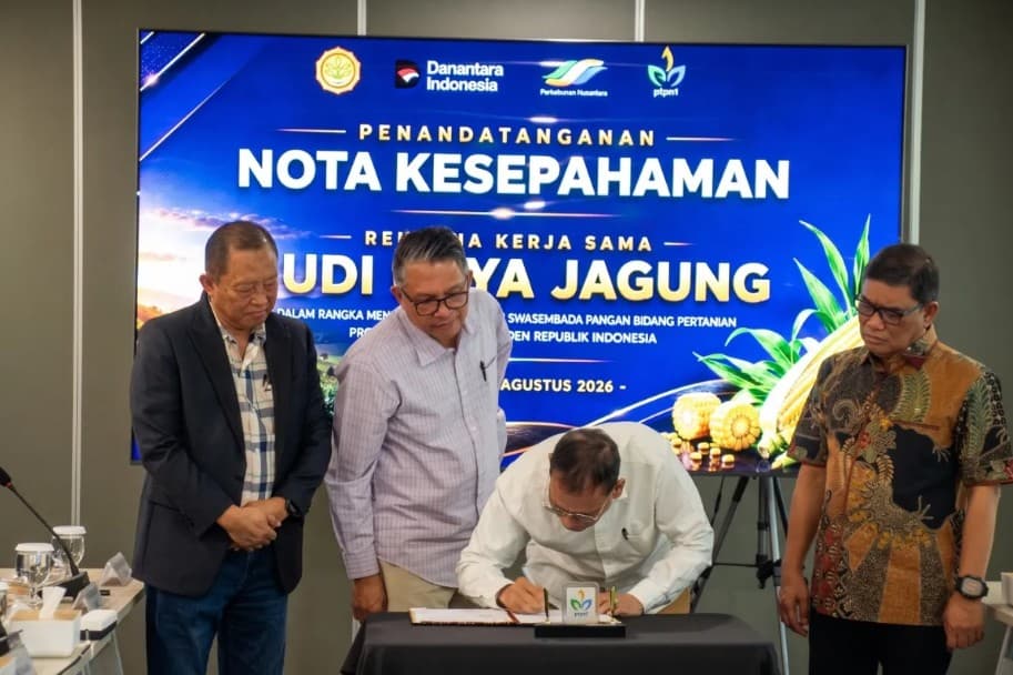 PTPN I Optimalkan 10.000 Hektare Lahan untuk Budi Daya Jagung demi Perkuat Ketahanan Pangan
