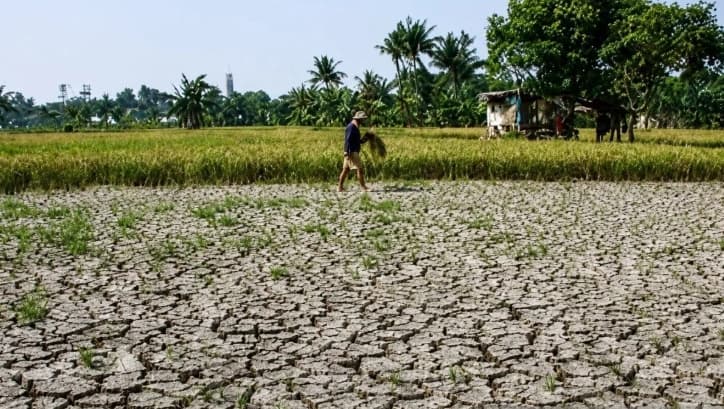 UNECE Memperingatkan Kekeringan dan Gelombang Panas Memperparah Tekanan terhadap Hutan