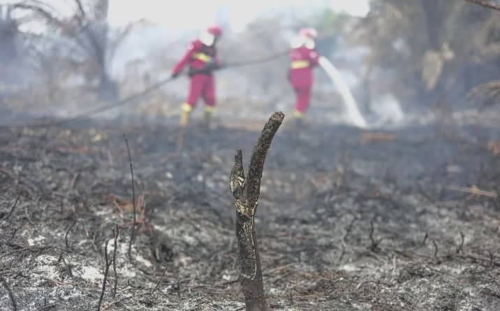 KLH Kerahkan Operasi Darat dan Udara secara Masif untuk Cegah Kabut Asap Karhutla Lintas Negara