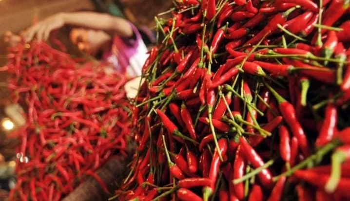 Harga Cabai Rawit Merah Tembus Rp78.100 per Kg, Telur Ayam Ras Rp29.550 per Kg